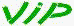 site VIP